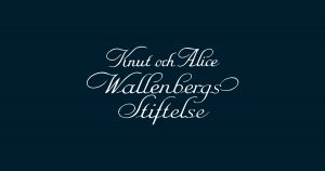Knut och Alice Wallenbergs Stiftelse stärker viktig framtidsforskning