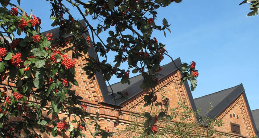 Höstlovsaktiviteter hela veckan 38 Höstlovsaktiviteter hela veckan
