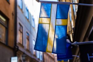 Regeringen beslutar om översyn av svenskämnena 3