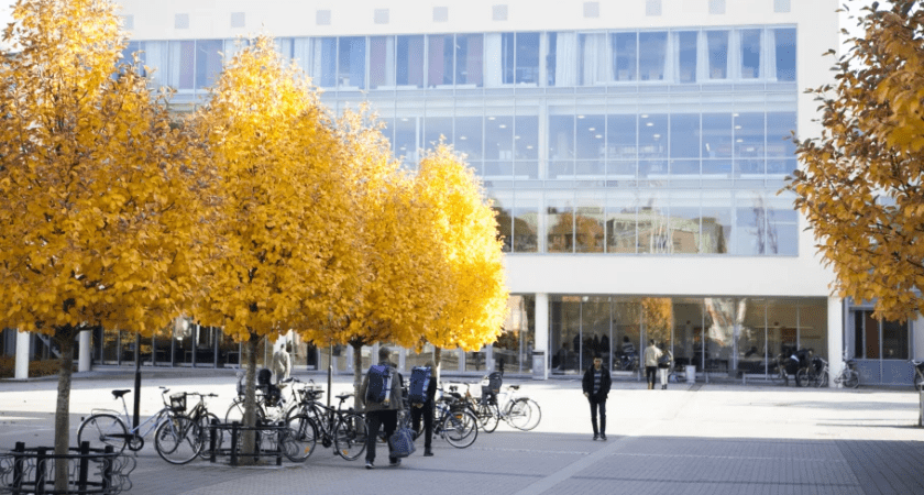 Så hanterar Högskolan Väst covid-19 just nu 95 Så hanterar Högskolan Väst covid-19 just nu