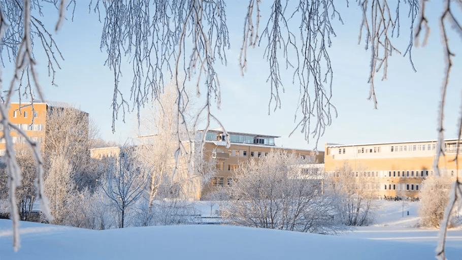 Umeå universitet och Akademiska Hus stärker samarbetet för ett mer hållbart campus