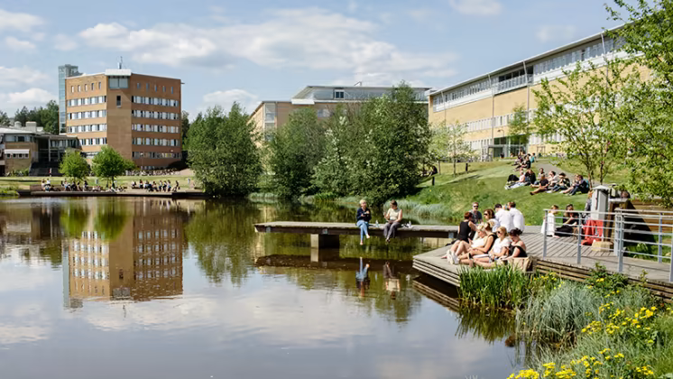Minskat söktryck till hösten på Umeå universitet