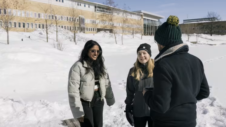 Umeå universitet bäst i världen på campusliv och stödtjänster