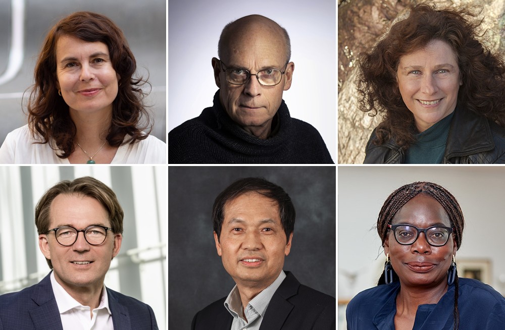 Sex nya hedersdoktorer vid Stockholms universitet