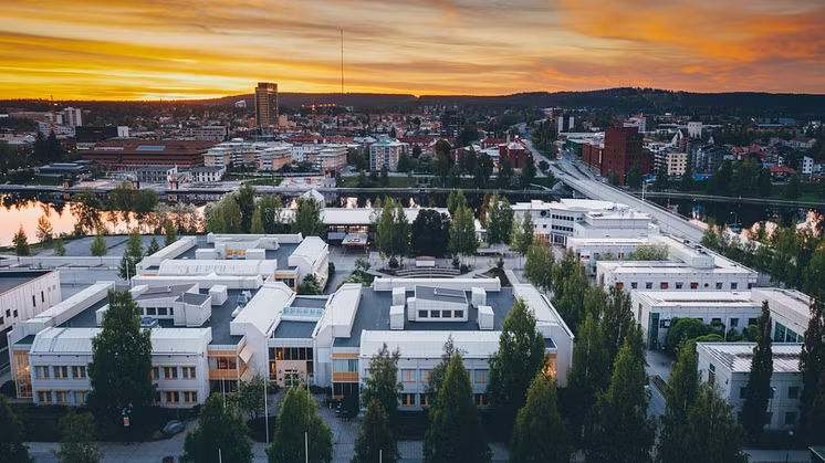 Kiropraktorhögskolan etableras i Skellefteå!