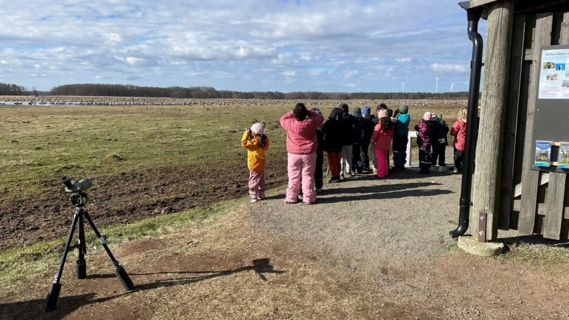 NaturligtVis på Näsby – visar elever vägen ut i naturen