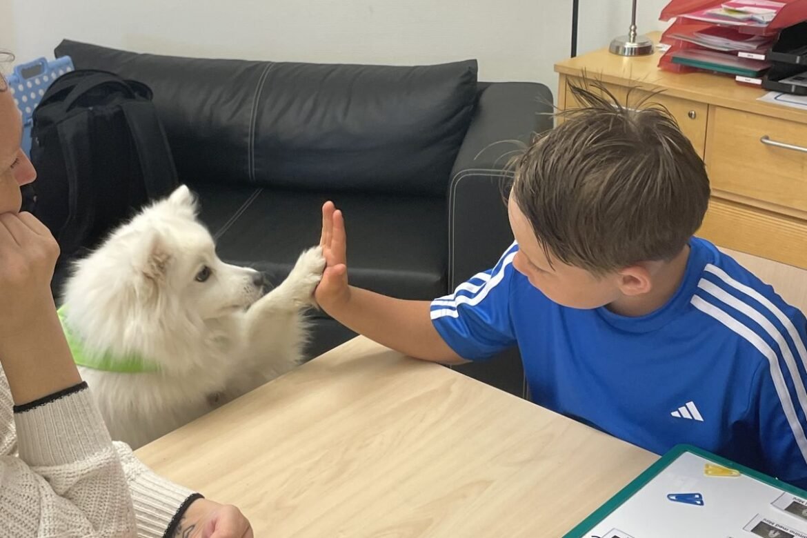Skolhunden Mini gör lärandet roligare