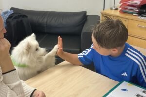 Skolhunden Mini gör lärandet roligare Skolhunden Mini gör lärandet roligare