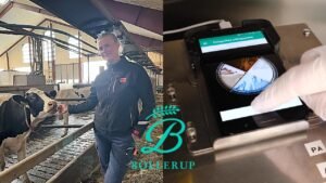 Bollerup Naturbruksgymnasium tar in AI-teknik för juverhälsa i undervisningen – inleder samarbete med Agricam