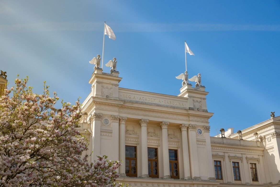 pexels hyggeligtstudiox 33565385 (1)