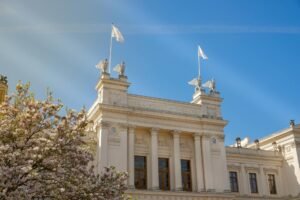 pexels hyggeligtstudiox 33565385 (1) pexels hyggeligtstudiox 33565385 (1)